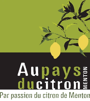 My Website